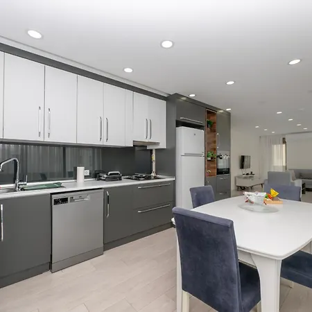 Gurcuoglu Homes *