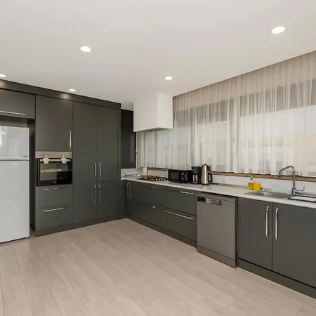 Gurcuoglu Homes *