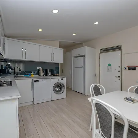 Gurcuoglu Homes