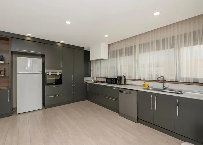 Gurcuoglu Homes *