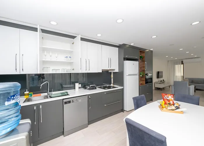 Gurcuoglu Homes *