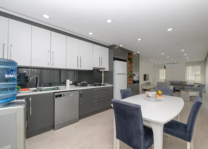 Gurcuoglu Homes *